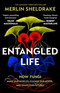 Entangled life: how fungi make our worlds, change our minds and shape our futures | Merlin Sheldrake | 