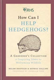 RHS How Can I Help Hedgehogs?