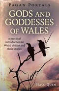 Pagan Portals - Gods and Goddesses of Wales | Halo Quin | 