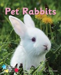 Pet Rabbits | Cath Jones ; Jones Cath | 