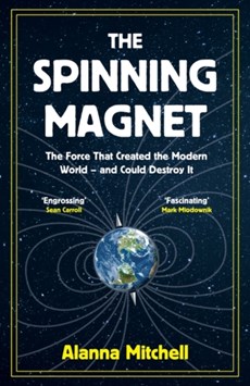 The Spinning Magnet