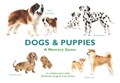 Dogs & Puppies | Emma Aguado | 