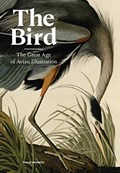 The Bird | KENNEDY, Philip | 