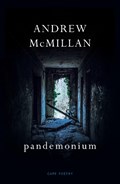 pandemonium | Andrew McMillan | 