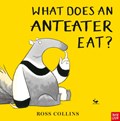 What Does An Anteater Eat? | Ross Collins | 