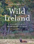 Wild Ireland | Carsten Krieger | 