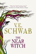 The Near Witch | V. E. Schwab | 