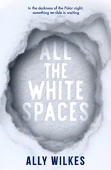 All the White Spaces | Ally Wilkes | 9781789097832
