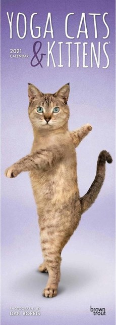 Yoga Cats & Kittens 2021 Slimline Btuk Calendar
