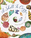 A Shell Is Cozy | Dianna Hutts Aston | 