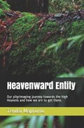 Heavenward Entity | Tendai Mapfumo | 