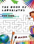 THE BOOK OF LABYRINTHS - MAZES FOR KIDS - MANUAL WITH 100 DIFFERENT ROUTES | Pages Walt Pages | 