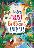 Tales of Brave and Brilliant Animals | Susanna Davidson ; Mairi Mackinnon ; Lan Cook | 