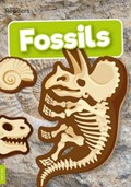 Fossils | Kirsty Holmes | 