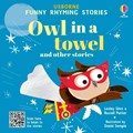 Owl in a towel and other stories | Lesley Sims ; Russell Punter | 