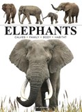 Elephants | Tom Jackson | 