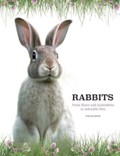 Rabbits | Tom Jackson | 