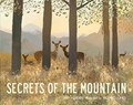 Secrets of the Mountain | Libby Walden | 