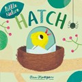 Hatch | Otter, Isabel ; Morgan, Pau | 
