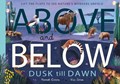 Above and Below: Dusk till Dawn | Harriet Evans | 