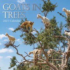 Goats in Trees Kalender 2021