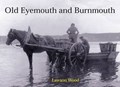 Old Eyemouth and Burnmouth | Lawson Wood | 