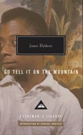 Go Tell It on the Mountain | James Baldwin | 
