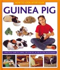 How to Look After Your Guinea Pig | David Alderton | 