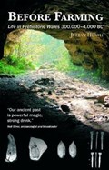 Before Farming - A Guide to Prehistoric Wales 300,000-4,000BC | Julian Heath | 