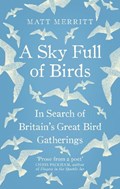 A Sky Full of Birds | Matt Merritt | 