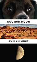 Dog Run Moon | Callan Wink | 