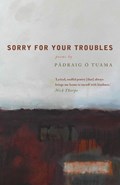 Sorry For Your Troubles | Padraig O Tuama | 