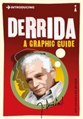 Introducing Derrida | Jeff Collins | 