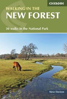 New Forest walking guide