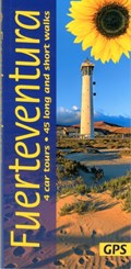Fuerteventura Sunflower Guide | Noel Rochford | 