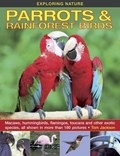 Exploring Nature: Parrots & Rainforest Birds | Tom Jackson | 