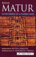 In the Temple of a Patient God | Bejan Matur | 