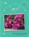 Small Wonders: Flowers | Mahmoud Gaafar ; Jane Wightwick | 