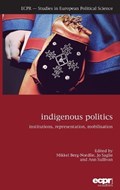 Indigenous Politics | Berg-Nordlie, Mikkel ; Saglie, Jo ; Sullivan, Ann | 