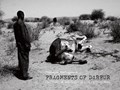 Fragments of Darfur | Markogiannis Nektarios | 