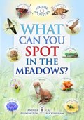 What Can You Spot in the Meadows? | Caz Buckingham ; Ben Hoare ; Andrea Pinnington | 