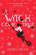 A Witch Come True | James Nicol | 