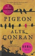 Pigeon | Alys Conran | 