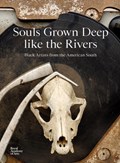 Souls Grown Deep like the Rivers | Maxwell L. Anderson ; Raina Lampkins-Fielder | 