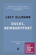 Ducks, Newburyport | Lucy Ellmann | 