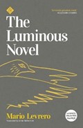 The Luminous Novel | Mario Levrero | 