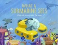 What a Submarine Sees: A Fold-Out Journey Under the Waves | Laura Knowles | 