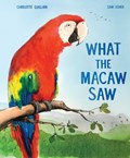What the Macaw Saw | Charlotte Guillain | 