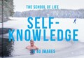 Self-Knowledge in 40 Images | The School of Life | 