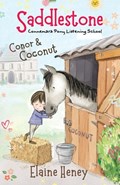 Saddlestone Connemara Pony Listening School | Conor and Coconut | Elaine Heney | 